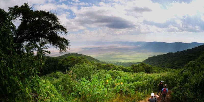 Ngorongoro Crater