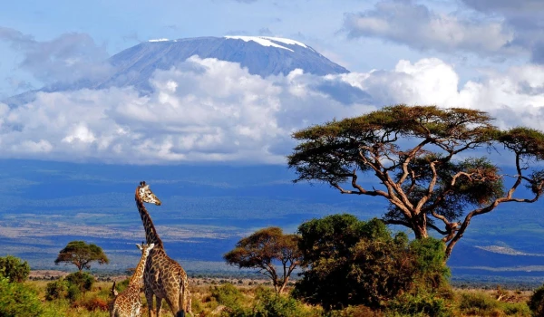 Kilimanjaro Mountain